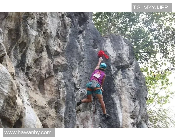 南京攀岩队的技术揭秘：攀岩巨献带你领略巅峰挑战的魅力与技巧