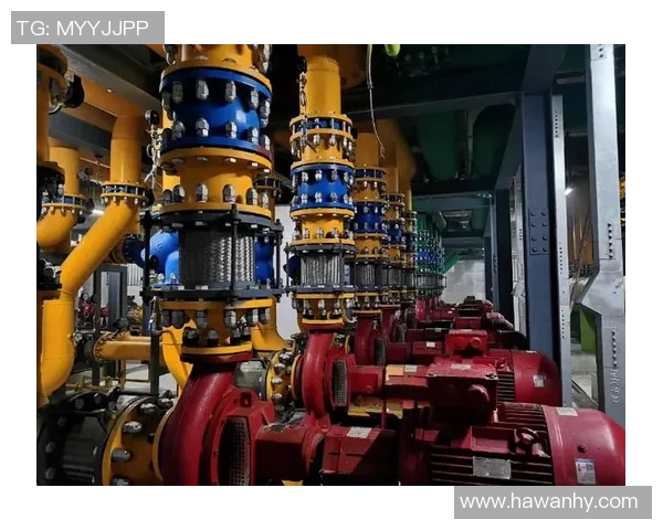 南京排球队展现卓越团队协作精神大满贯点评分析其成功之道