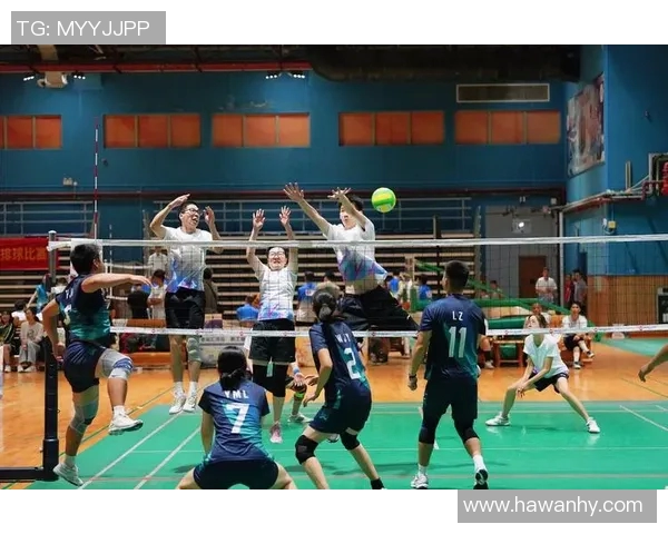 广州排球队在锦标赛中的团队协作表现分析与点评