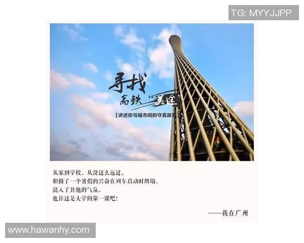 赵芳的乒乓球人生深度对话揭示奋斗与梦想的真实故事