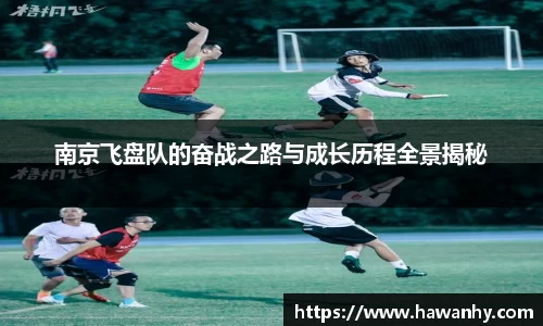 南京飞盘队的奋战之路与成长历程全景揭秘